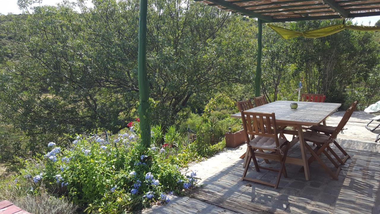 La Loubiere, Ancienne Bergerie En Pleine Garrigue Bed & Breakfast Fraissé-des-Corbières Bagian luar foto