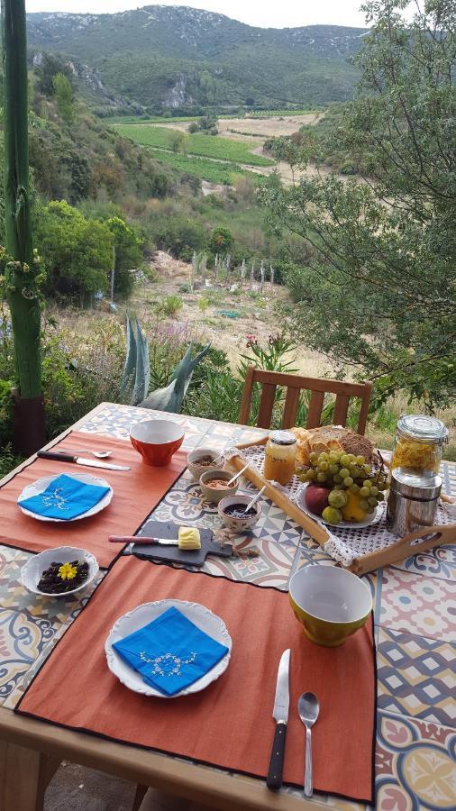 La Loubiere, Ancienne Bergerie En Pleine Garrigue Bed & Breakfast Fraissé-des-Corbières Bagian luar foto
