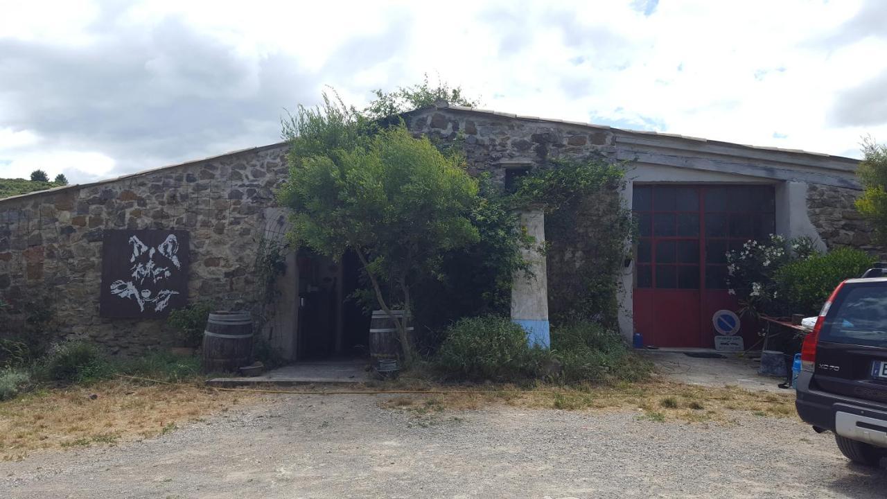 La Loubiere, Ancienne Bergerie En Pleine Garrigue Bed & Breakfast Fraissé-des-Corbières Bagian luar foto