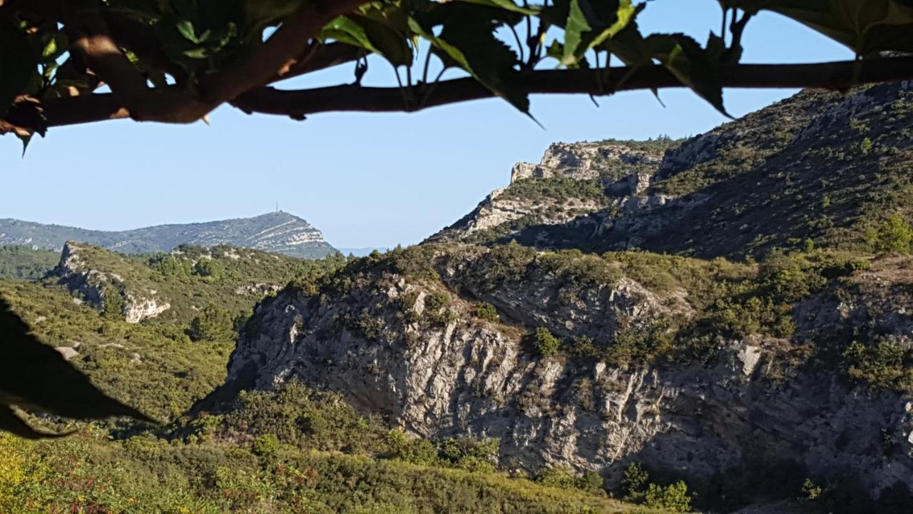 La Loubiere, Ancienne Bergerie En Pleine Garrigue Bed & Breakfast Fraissé-des-Corbières Bagian luar foto