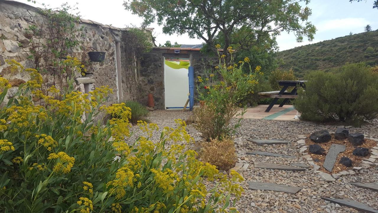 La Loubiere, Ancienne Bergerie En Pleine Garrigue Bed & Breakfast Fraissé-des-Corbières Bagian luar foto